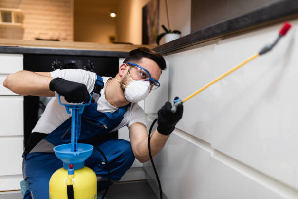Reliable Lake Stevens, WA Pest Control Solutions