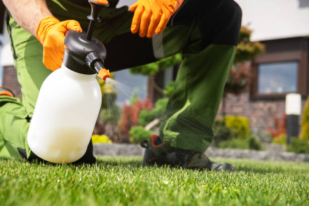 Reliable Lake Stevens, WA Pest Control Solutions